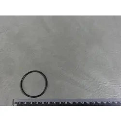 o-ring - Air Control Cap/ Front Access Lights - Coast Spas Hot Tubs